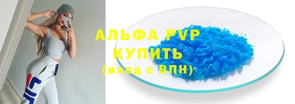 прущие грибы Абдулино