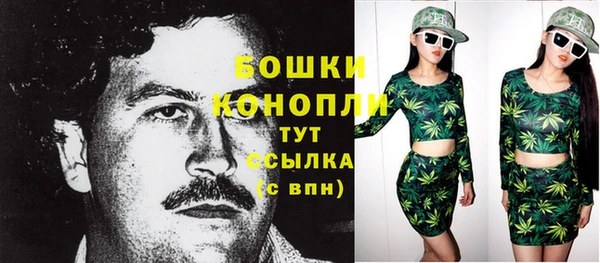 прущие грибы Абдулино